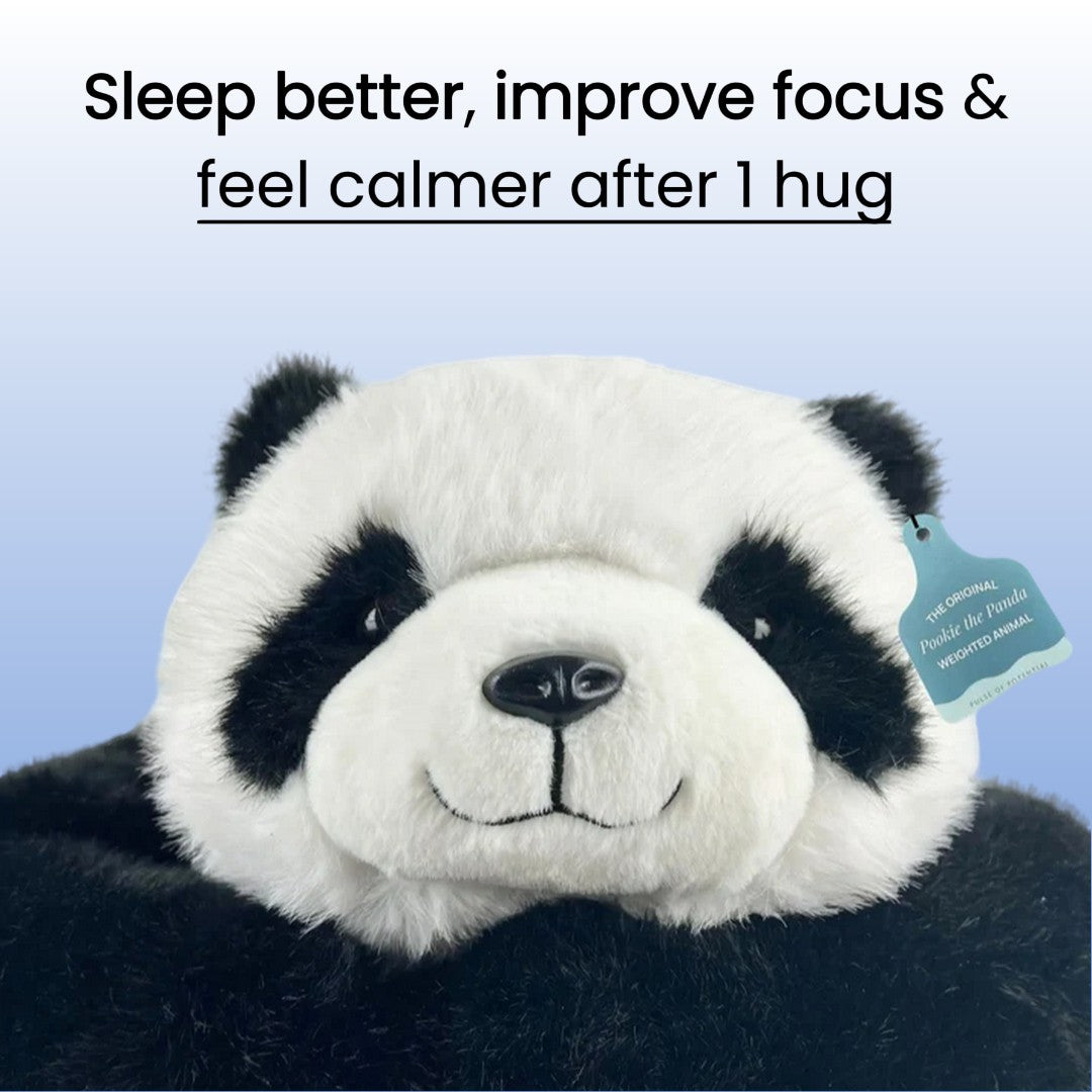 Hugsy the weighted panda