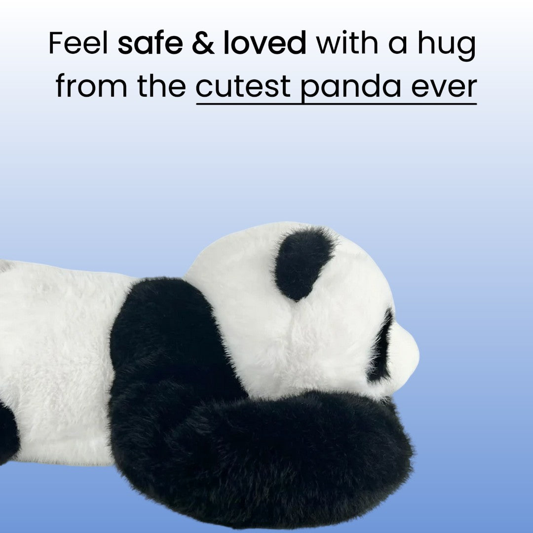 Hugsy the weighted panda